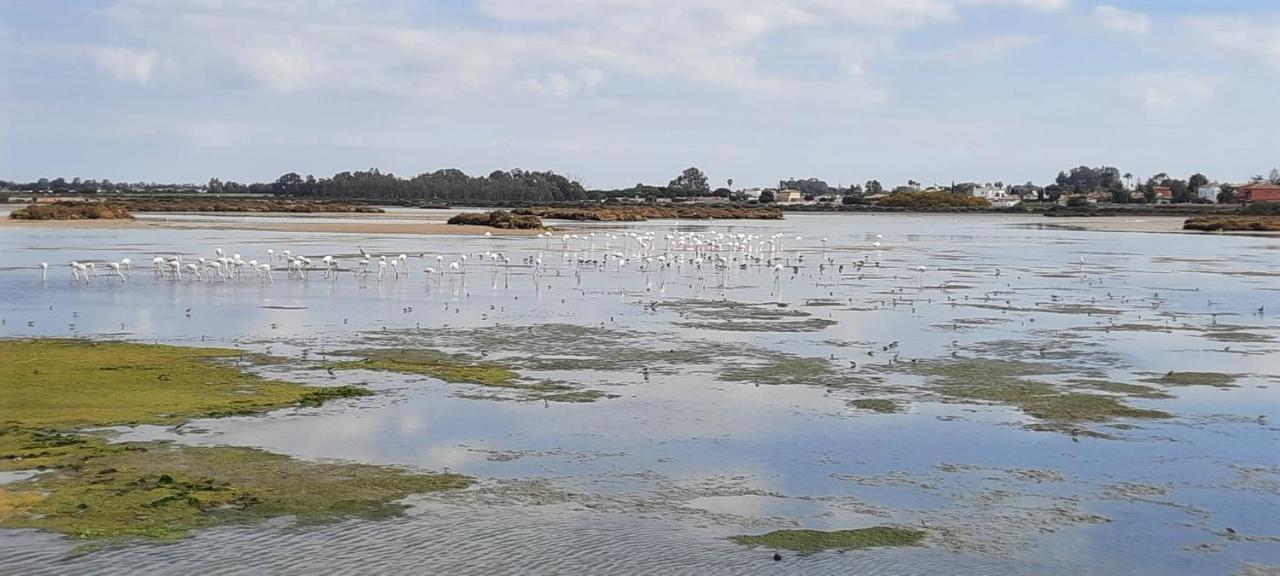 Villa Sancti Petri Chiclana de la Frontera Zewnętrze zdjęcie